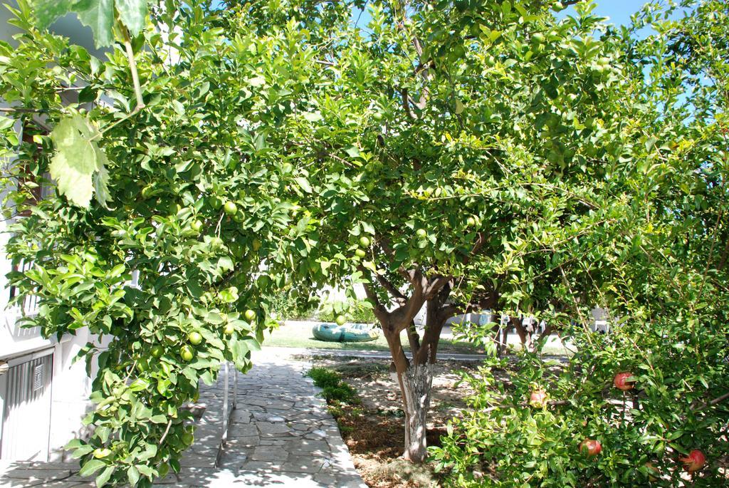 Appartamento Kostas Family House Káto Ássos Esterno foto