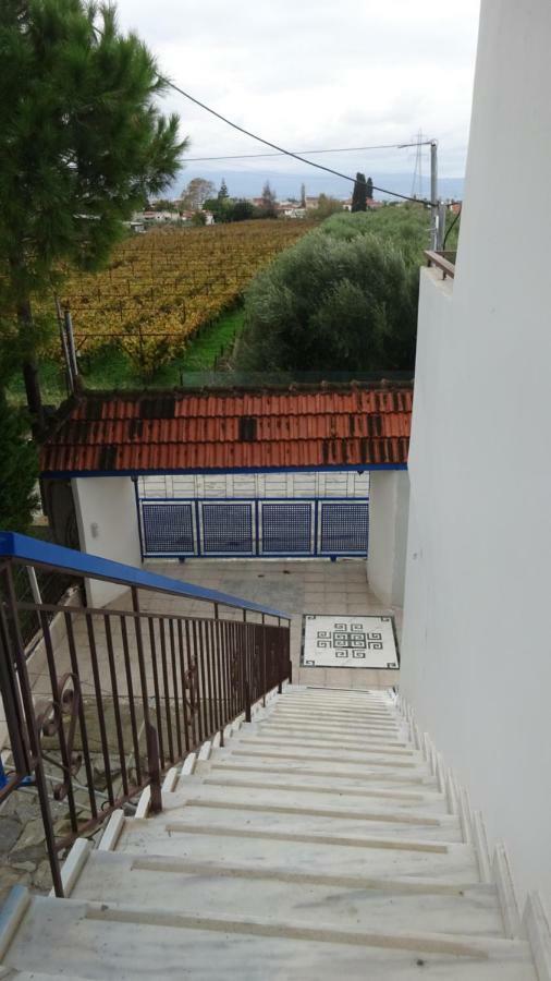 Appartamento Kostas Family House Káto Ássos Esterno foto