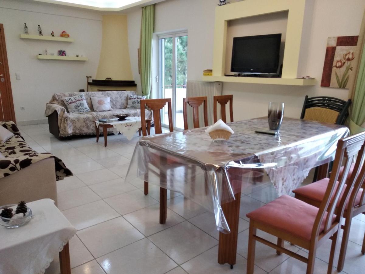 Appartamento Kostas Family House Káto Ássos Esterno foto